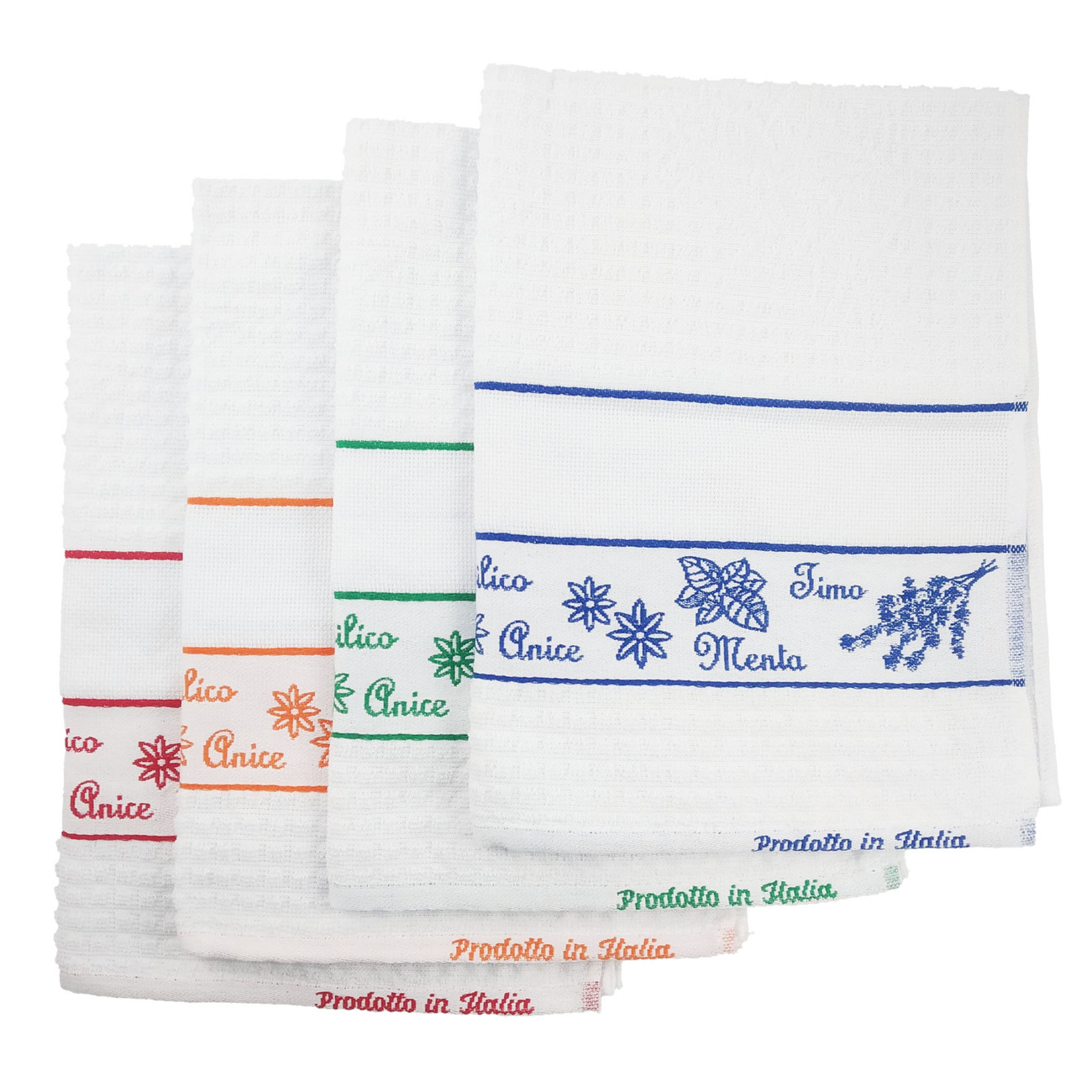 STROFINACCI in SPUGNA Spezie